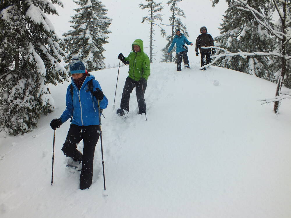 Schneeschuhtouren Schwarzwald