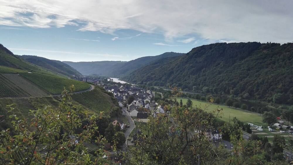 Weinbergwanderung am Calmont 1 Person
