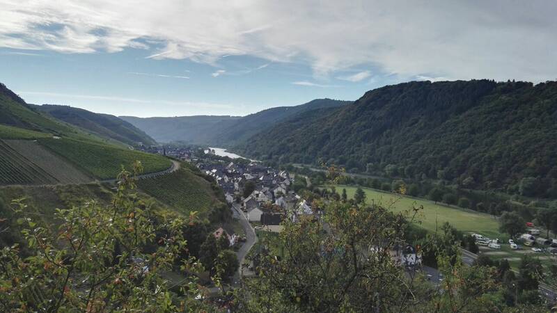 Weinbergwanderung am Calmont 1 Person