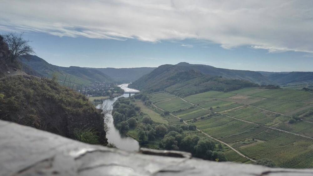 Weinbergwanderung am Calmont 2 Personen